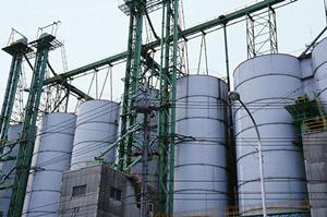 食べることができる金箔で料理に彩りを